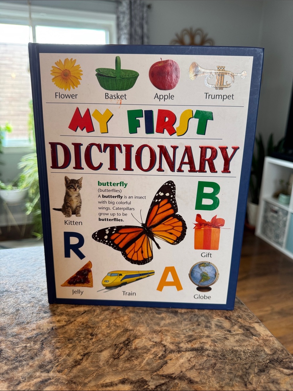 My First Dictionary Children's Book